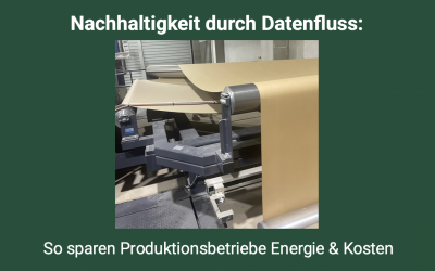 Nachhaltigkeit & Effizienz in der Wellpappenproduktion